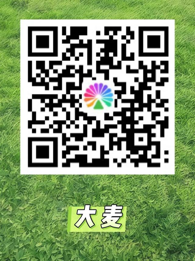 已开票！在草原上与自由热烈相拥，就在→