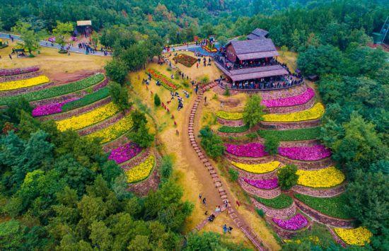 Yeah！生活｜新沂？心仪！