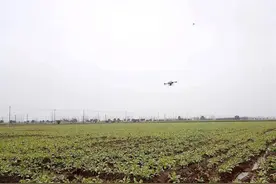 咸宁咸安：每小时喷洒80亩 无人机撒药抗灾稳产量图片