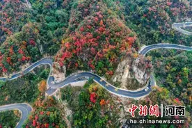 鲁山石林路获评河南“最美国省干线公路”图片