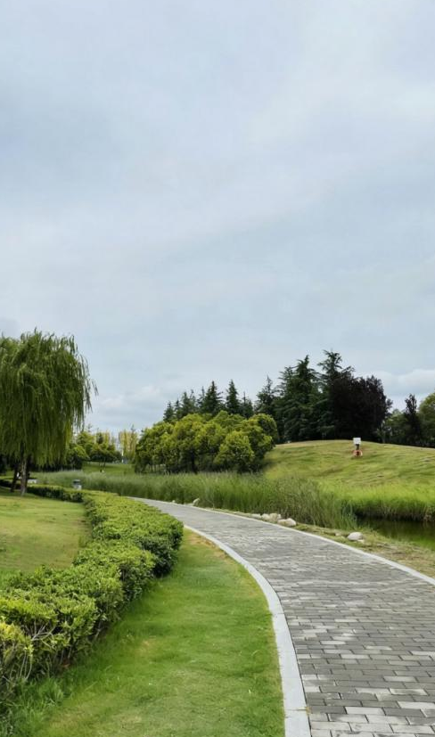 秋意浓，漫步图鉴就在→