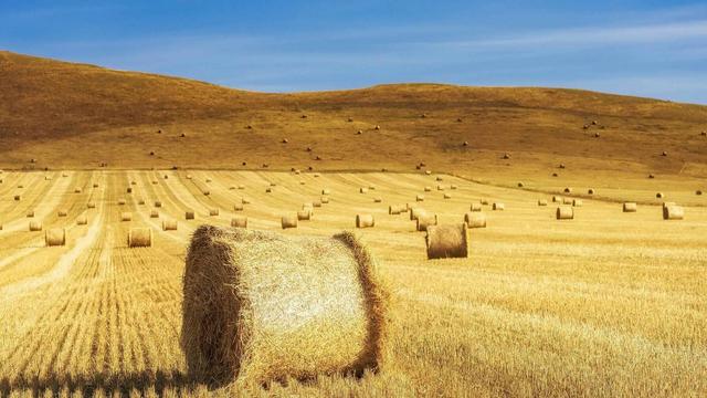 跟着电影去秋游｜这份精选秋日电影旅行地指南，请查收！