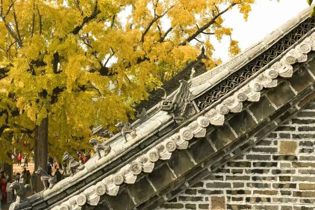 央视报道！就是现在！最佳赏叶期！还有玩法大升级……