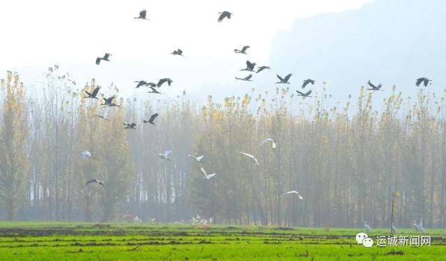 稷山县一体推进治山治水治气治城