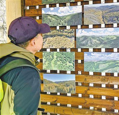 草茂林丰的生态底色