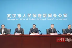 武汉超20个行业大模型今年将应用，打造人形机器人电子皮肤等创新成果图片