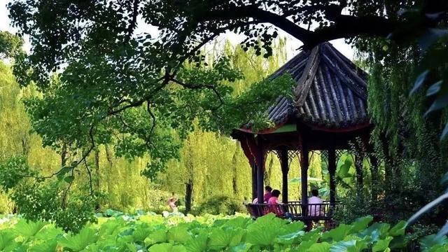 三条宝藏路线，解锁新都人少景美的深度玩法