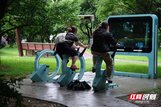 我住湘江边⑥丨橘洲零碳岛，总引“我辈复登临”