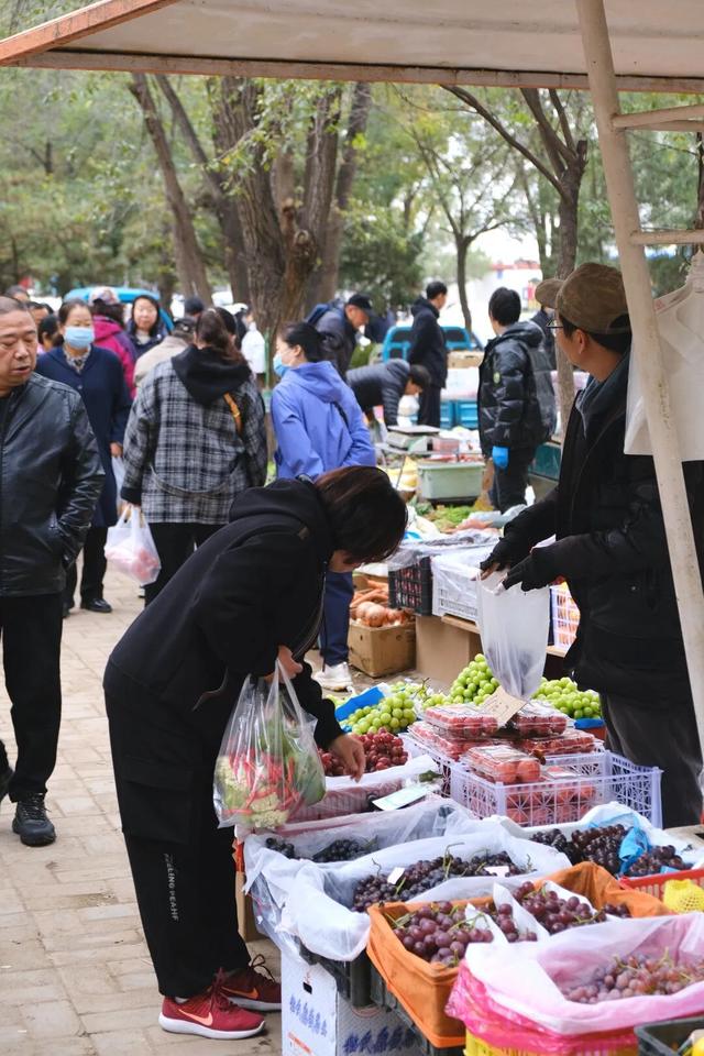 冷到不想动？这份抗寒密码让你越动越暖！