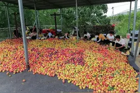 南水北调10年：渠首所在地产业向“绿”图片