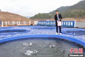 （乡村行·看振兴）江西玉山：水库养出“生态鱼”绿色高效增收益图片