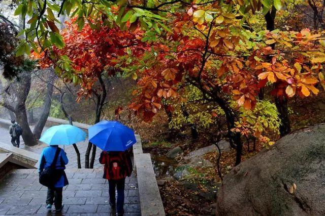 观云海，遇彩林，初冬就该来这里！