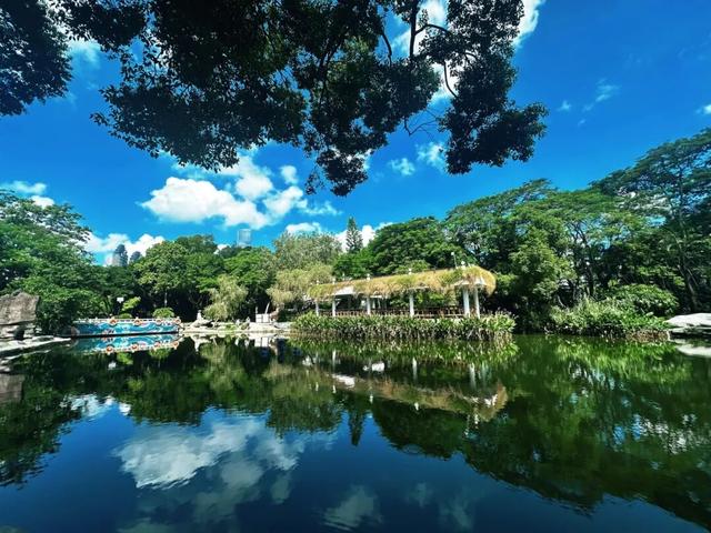 免费开放！持续21天！2025东湖公园菊花赏来啦~