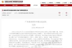 突发！435亿“巨兽”，进入破产清算图片