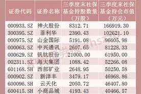 大幅加仓！社保基金重仓股曝光图片