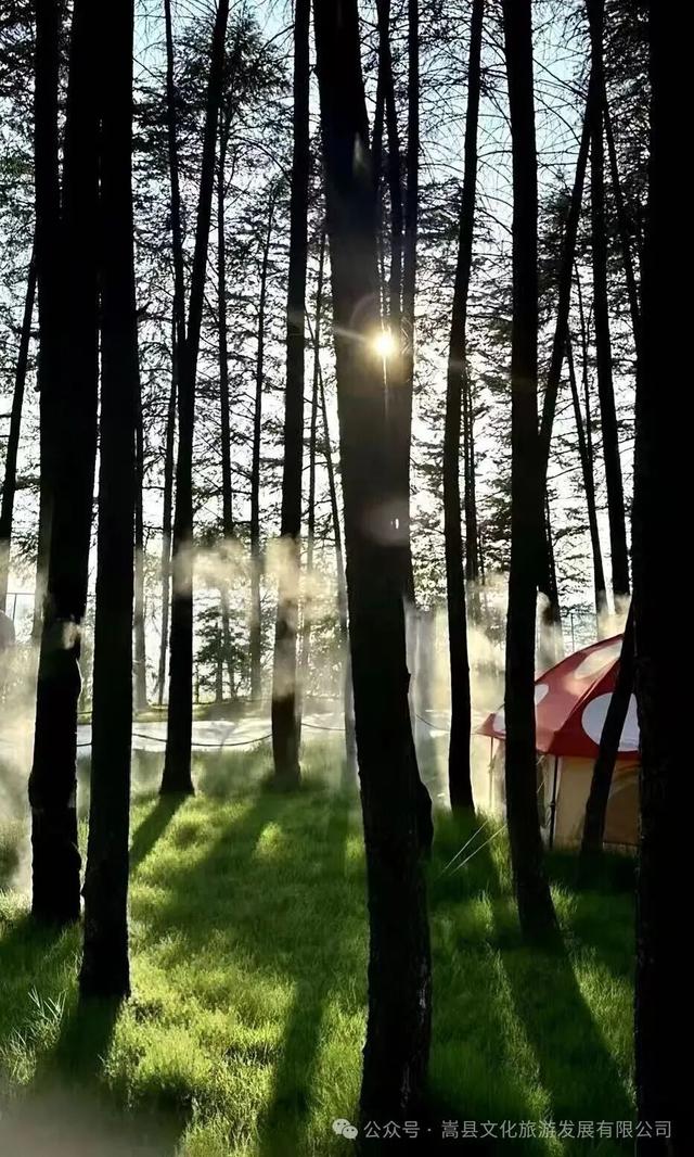 出片率100%嵩县这处超美拍照打卡点，你一定要知道！