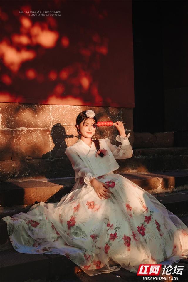 你也在追寻什么吗？也许答案就在下一片枫叶里