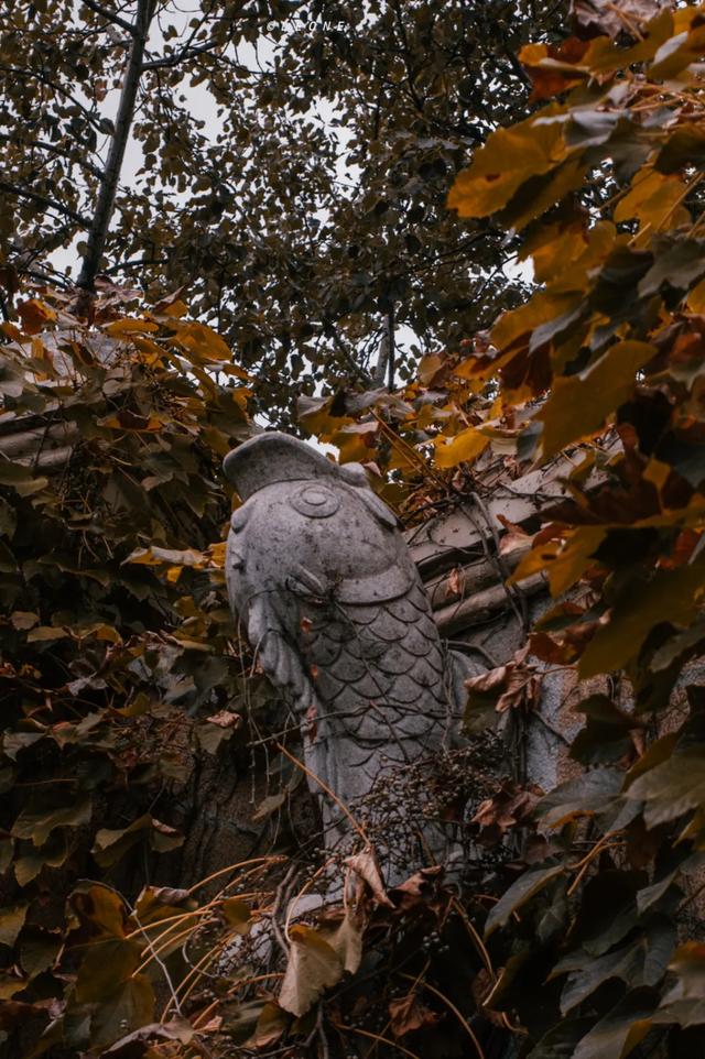 顶级美学!西安这4个园林,美到失语!