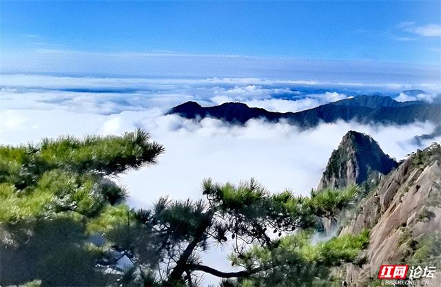 秋游时刻丨如果秋天有底色，那一定是黄山的样子吧？