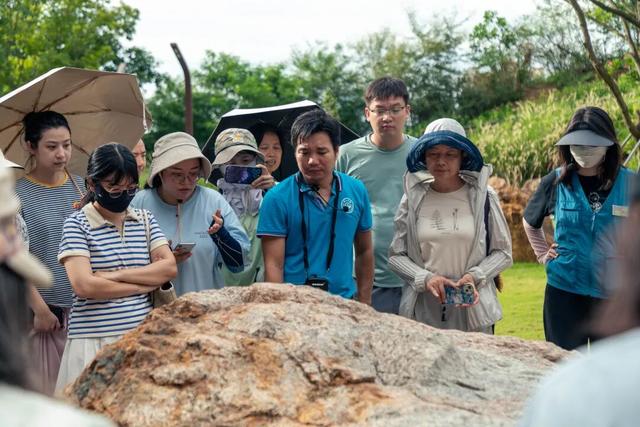 在龙华，公园是这么逛的