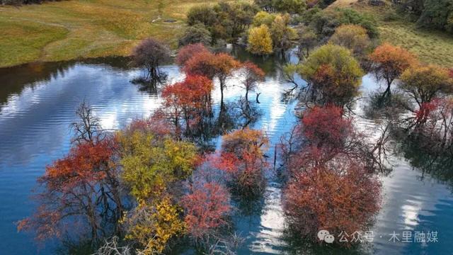 秋色秋景 | 走进童话世界里的木里