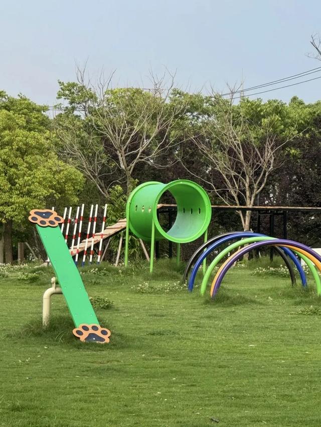 3000㎡！属于萌宠的gogoland帮你找到了！