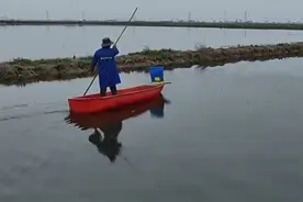 长江禁捕第四年，渔民上岸就业解决了吗？还有哪些现实问题？图片