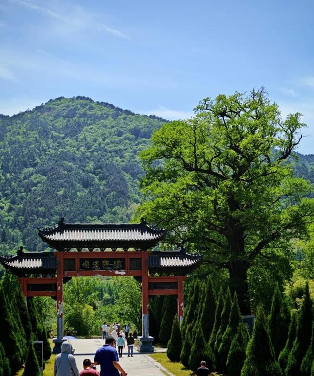 河南“天然空调房”地图上线！快来场“森呼吸”