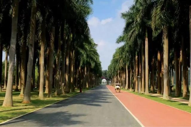 免费！优惠！明天来南宁，过重阳不“重”样！