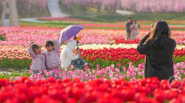 春花争艳游客旺