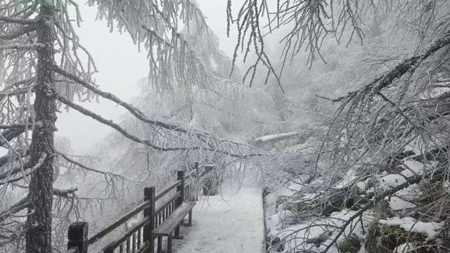 银装素裹的太白山 | 探访张家界七星山荒野求生“文车车”