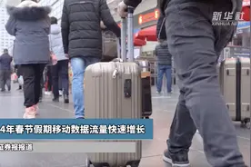 2024年春节假期移动数据流量快速增长图片