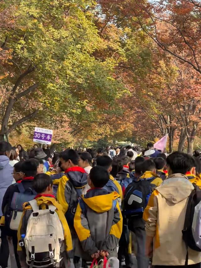 啥情况？“今天的南京，感觉有一亿人”