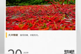 湖湘自然历丨如此多“椒”⑨薄田里种出“上等椒”图片