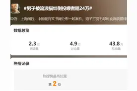 胡律师说法 | 流浪猫闯大祸，投喂人赔24万，为“爱”买单合法合理图片