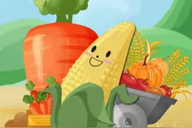 【普法漫谈】一根玉米的故事图片