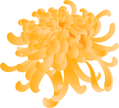 赏菊+品宴+饮酒！初冬的第一份浪漫就藏在北京这里→