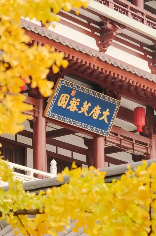 西安上新！高颜值秋景，正在加载！