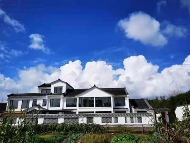 奉贤区景区限时免票或半价来了