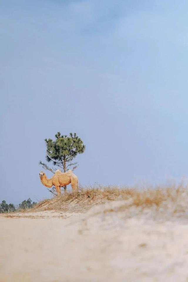 在江西，藏着另一个“大西北”