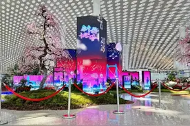 乘机返深必看！深圳机场最全地面交通指南来了图片