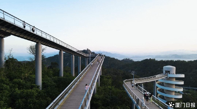 为什么是厦门？