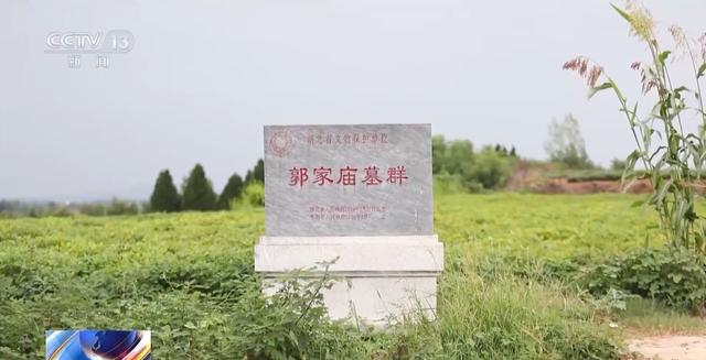 盗墓贼看小说学盗墓挖走20余件国宝