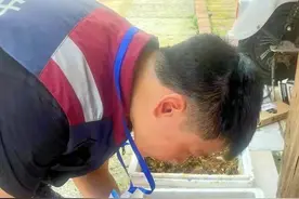 重庆荣昌：清积水、灭蚊虫！疾控中心出手了图片