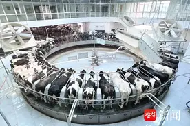 “扬大康源乳业生态智慧牧场解决方案”入选全国智慧农业建设典型案例图片