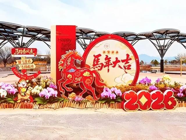 家庭园艺嘉年华｜北京兰花文化嘉年华将于明日启幕