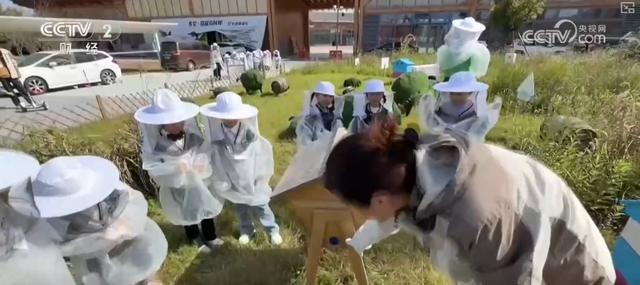 “田园风光+潮流玩法”成文旅融合新亮点 乡村旅游新消费活力十足