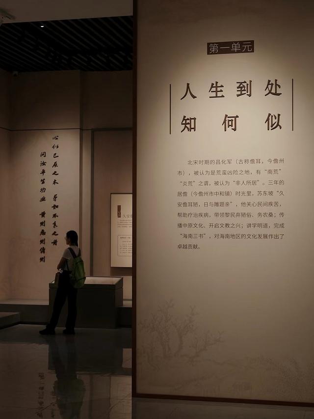 晚潮｜桄榔林里的“图书馆”