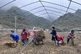 武隆黄莺乡：人勤春来早，不误农时翻耕忙图片