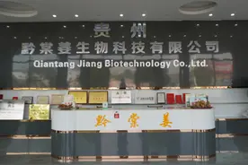 镇宁小黄姜的“72变”图片